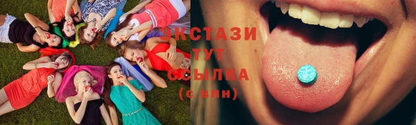 индика Бородино