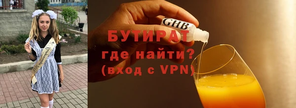 индика Бородино