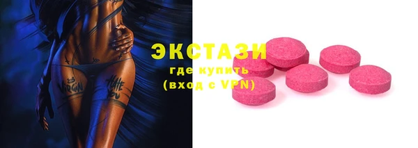 индика Бородино