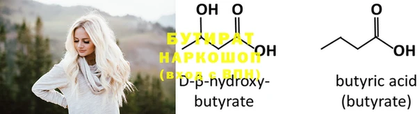 индика Бородино