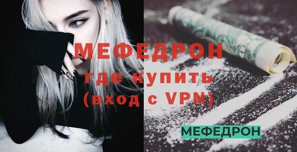 индика Бородино