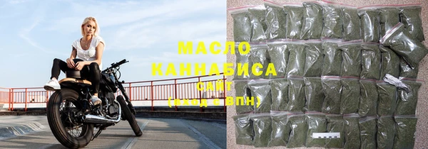 индика Бородино