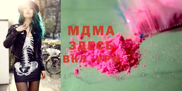 индика Бородино