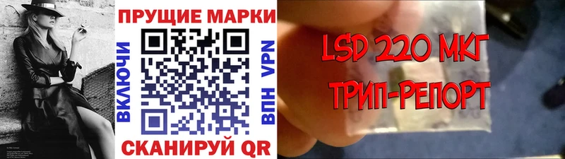 где можно купить наркотик Щёлково блэк спрут зеркало Наркотические марки 1,8мг