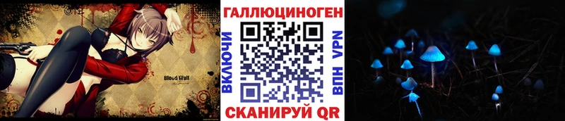 маркетплейс официальный сайт  где можно купить наркотик  Щёлково  Галлюциногенные грибы GOLDEN TEACHER 